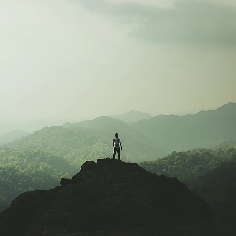 Choisir le bon logiciel pour le suivi des indicateurs RH