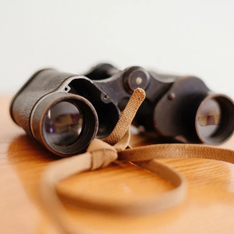 Comment l’automatisation RH transforme le rôle du Chief People Officer