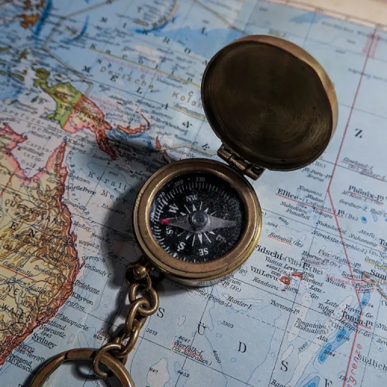 Licence professionnelle : le parcours essentiel pour devenir DRH et piloter la gestion des ressources humaines